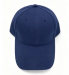 6 Panel Cap